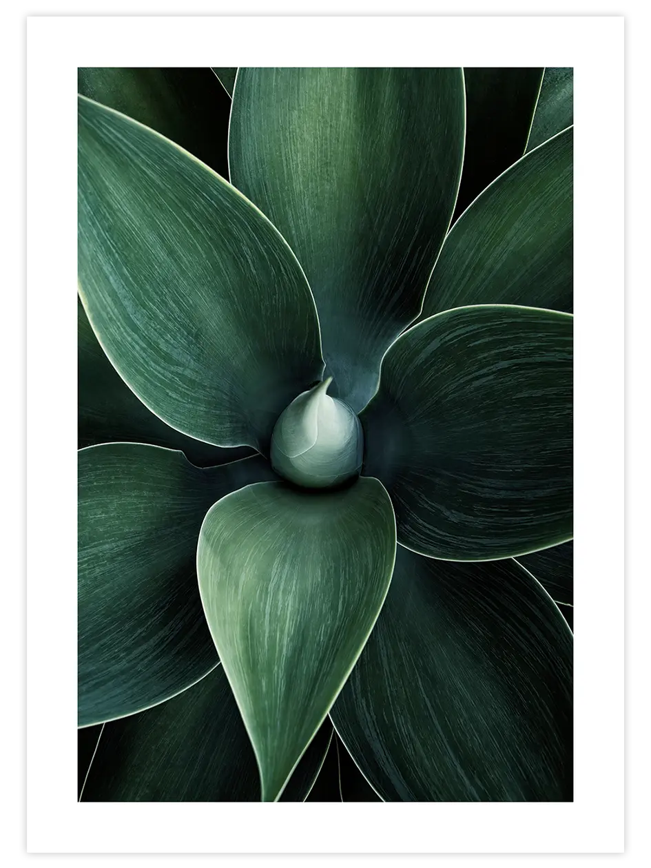 Doğanın Sanatı - Art Print Ürün ana görseli