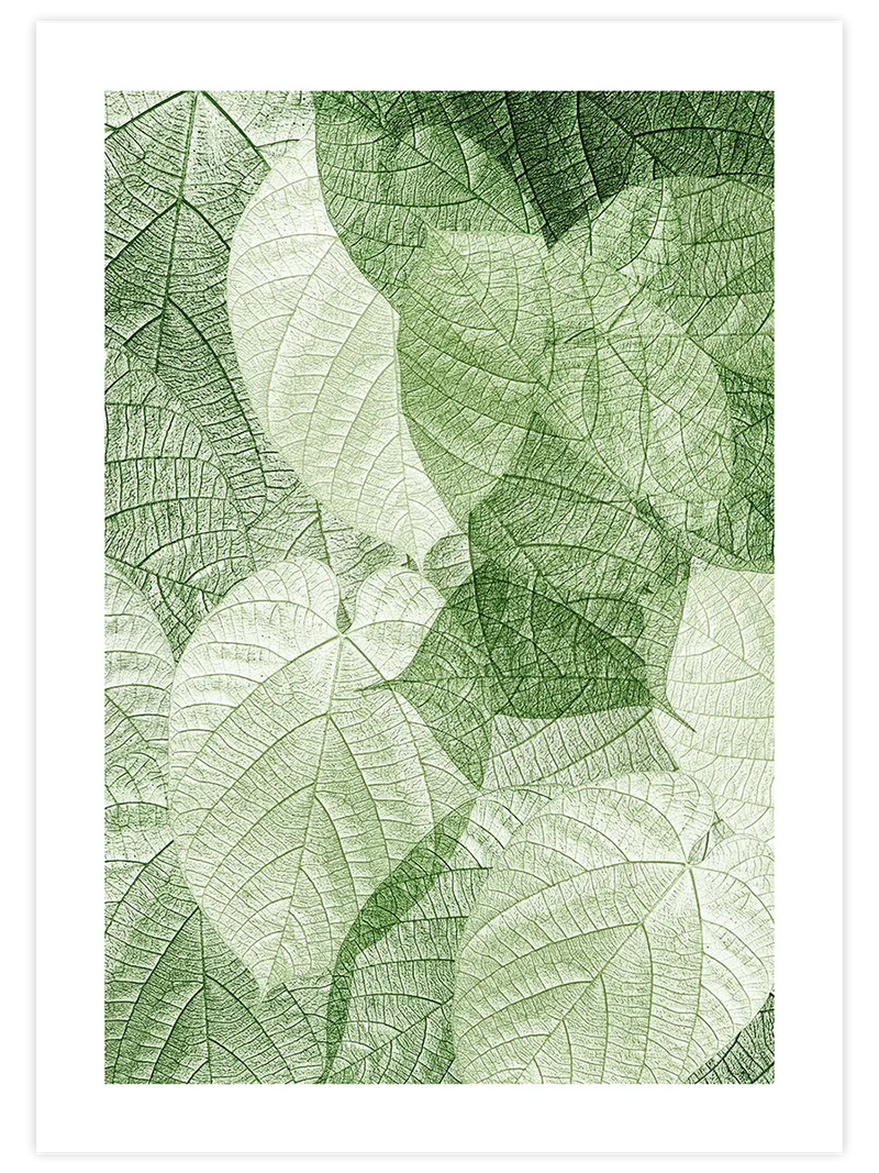 Sanatın Doğası 2 -  Art Print Fotoğraflar Poster
