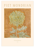 Piet Mondrian Chrysanthemum N2 - Art Print