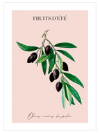 Fruits D’Eté - Art Print