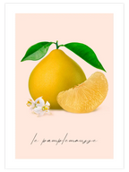 Le Pamplemousse - Art Print