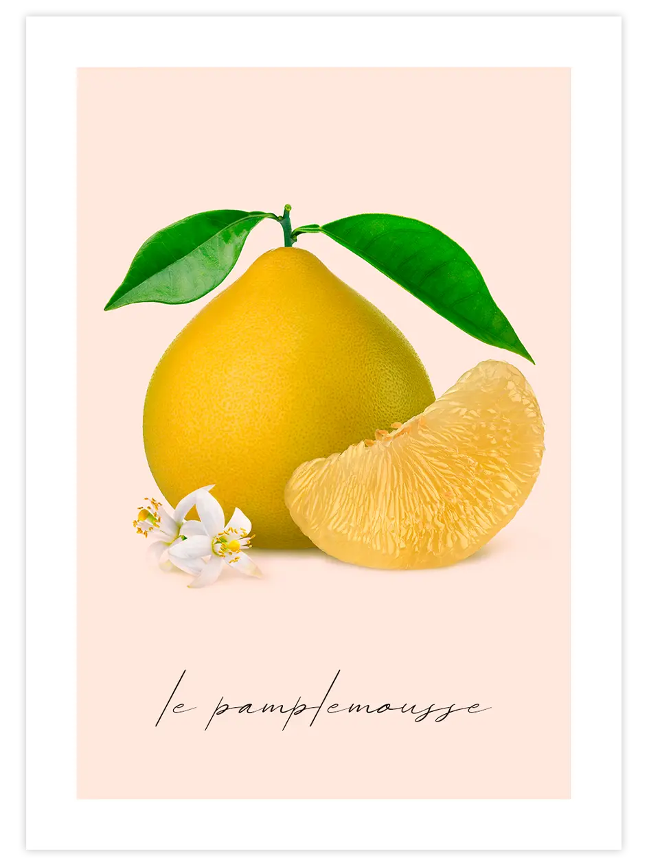 Le Pamplemousse - Art Print