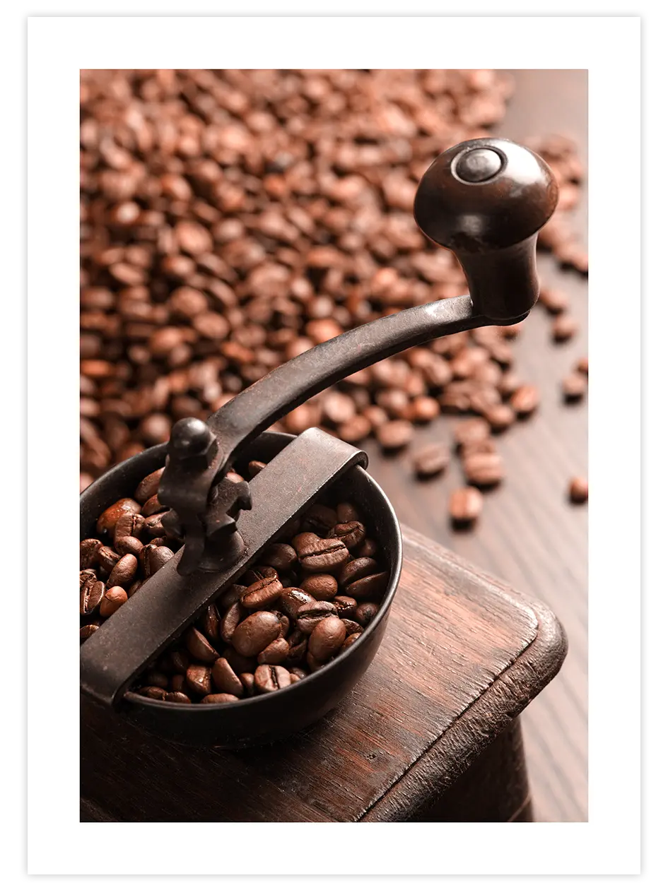 Kahve Taneleri - Art Print