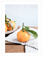 Mandalina - Art Print