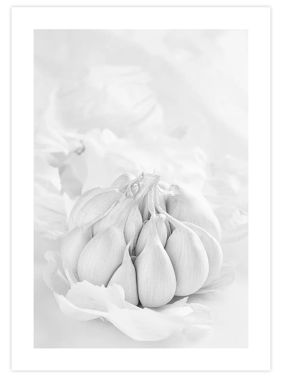 Garlic - Art Print Fotoğraflar Poster