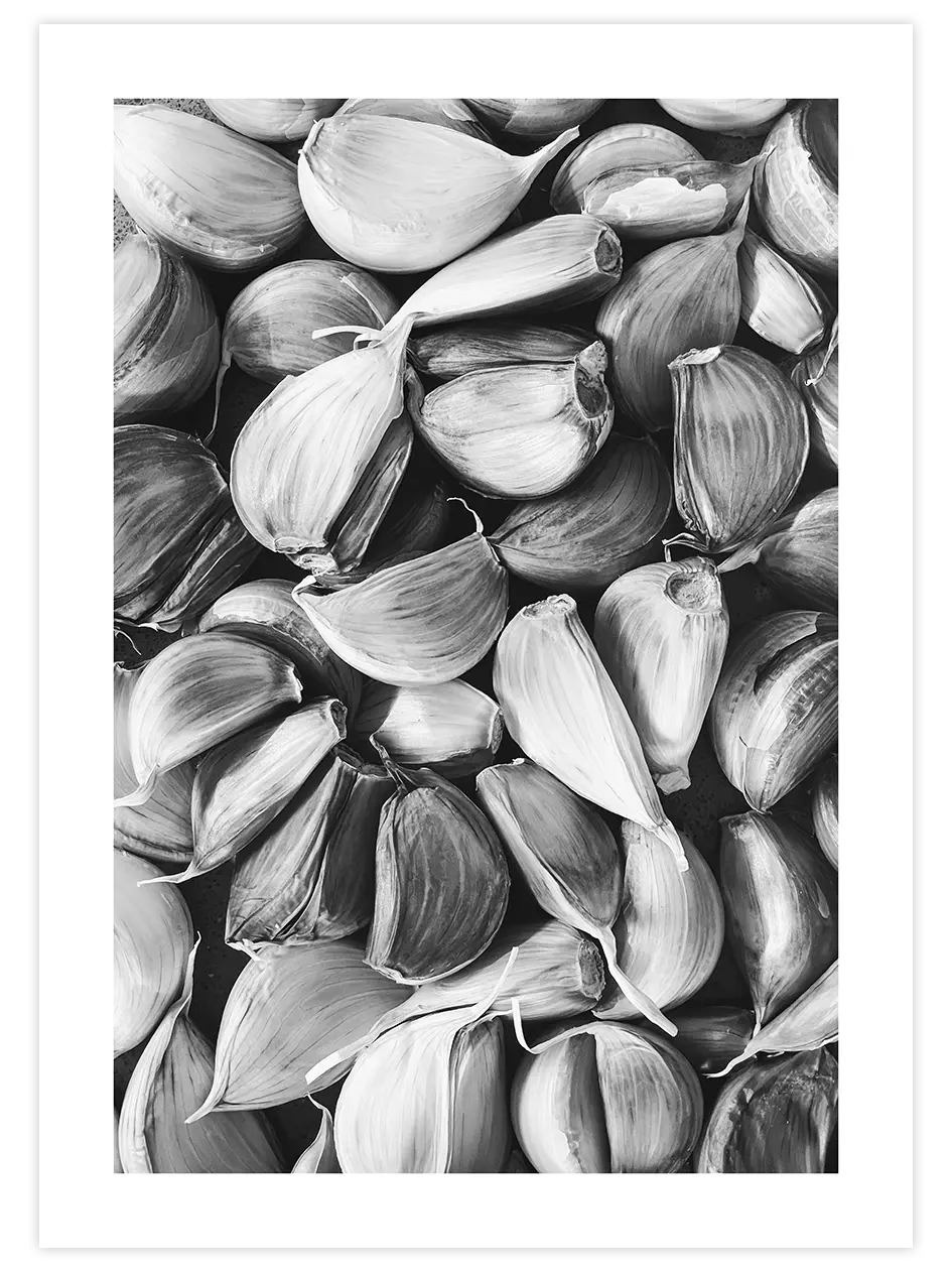 Sarımsak - Art Print Fotoğraflar Poster