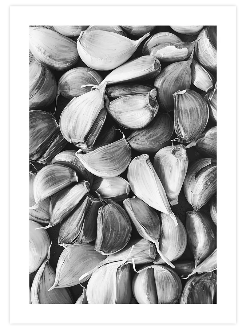 Sarımsak - Art Print Fotoğraflar Poster