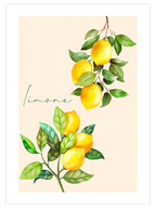 Limone - Art Print
