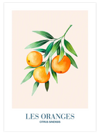 Les Oranges - Art Print