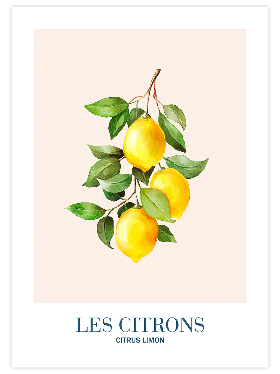 Les Citrons - Art Print Mutfak Poster