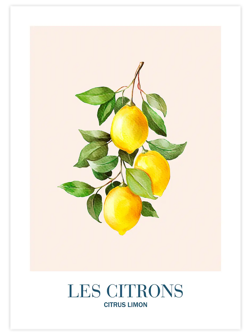 Les Citrons - Art Print Mutfak Poster