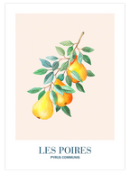 Les Poires - Art Print