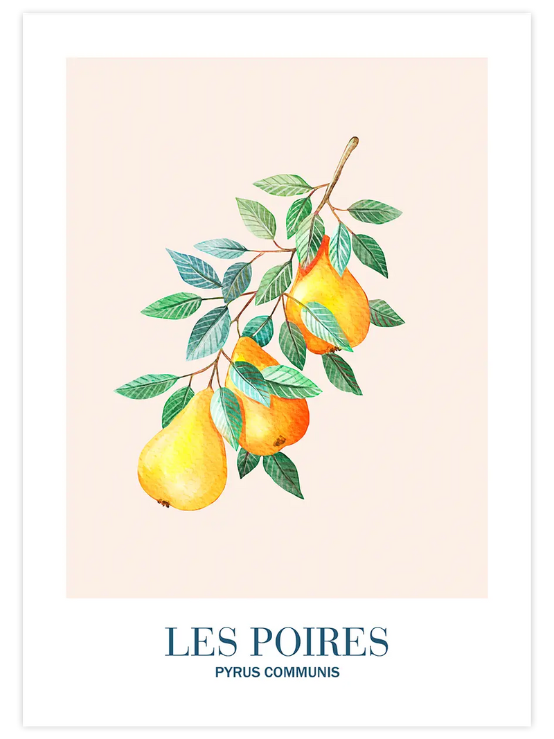 Les Poires - Art Print Mutfak Poster