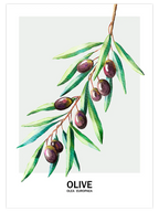 Zeytin - Art Print