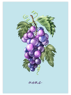 Uvas - Art Print