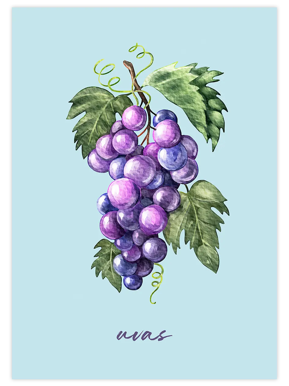Uvas - Art Print Mutfak Poster