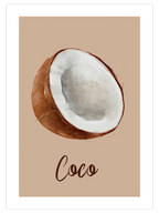 Coconut - Art Print