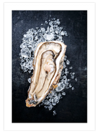 İstiridye - Art Print