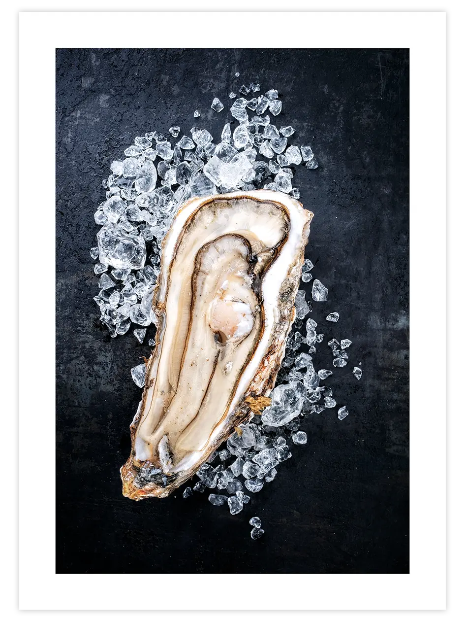 İstiridye - Art Print