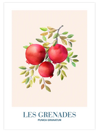 Les Grenades - Art Print