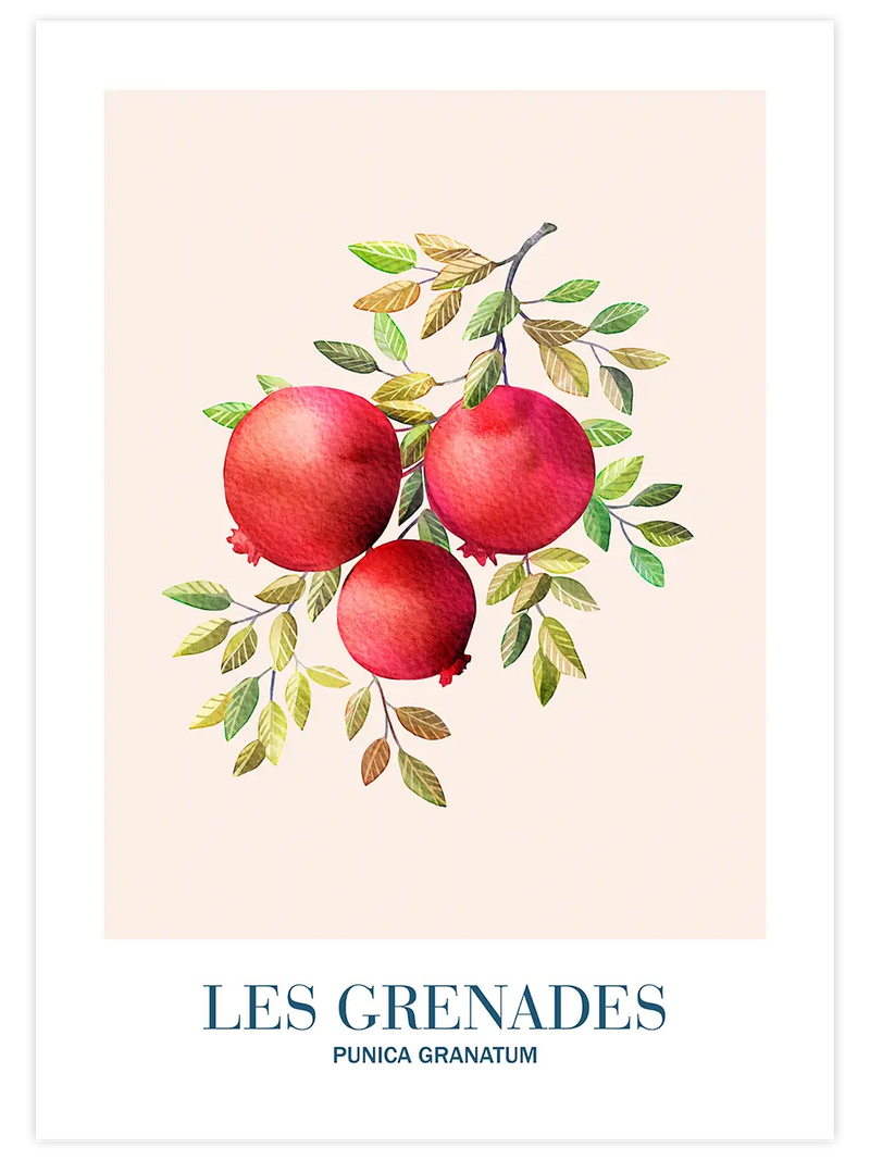 Les Grenades - Art Print Mutfak Poster
