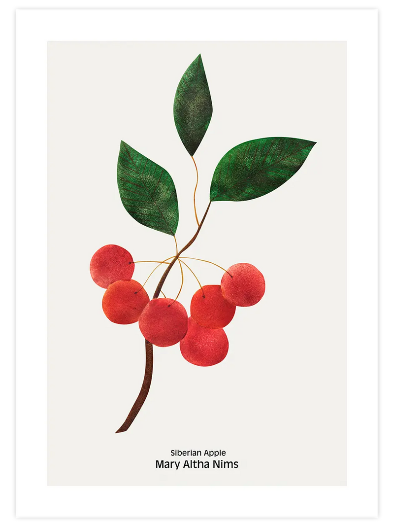 Sibirya Elması - Art Print Mutfak Poster
