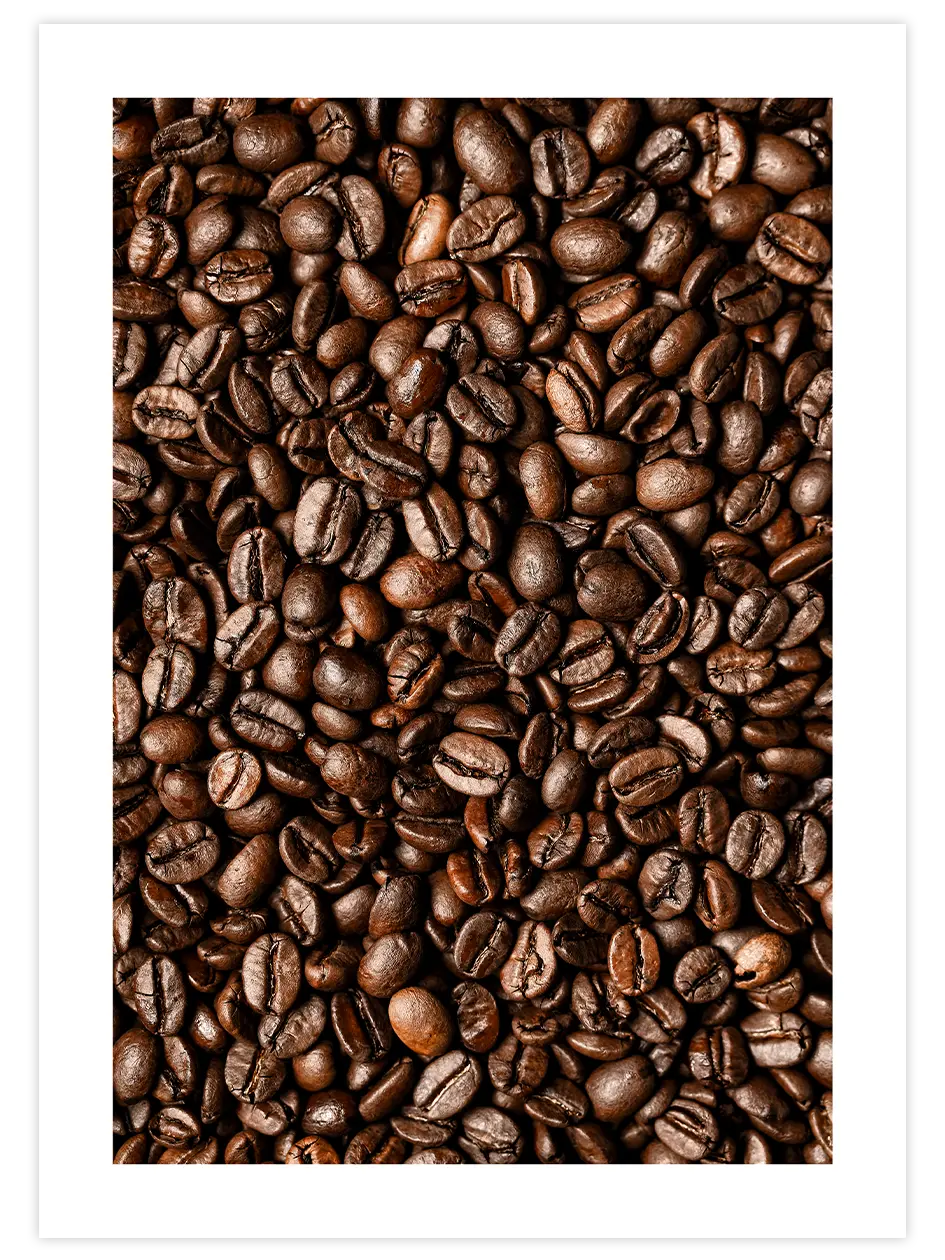 Kahve Çekirdekleri - Art Print