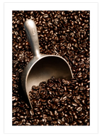 Kahve Çekirdekleri - Art Print