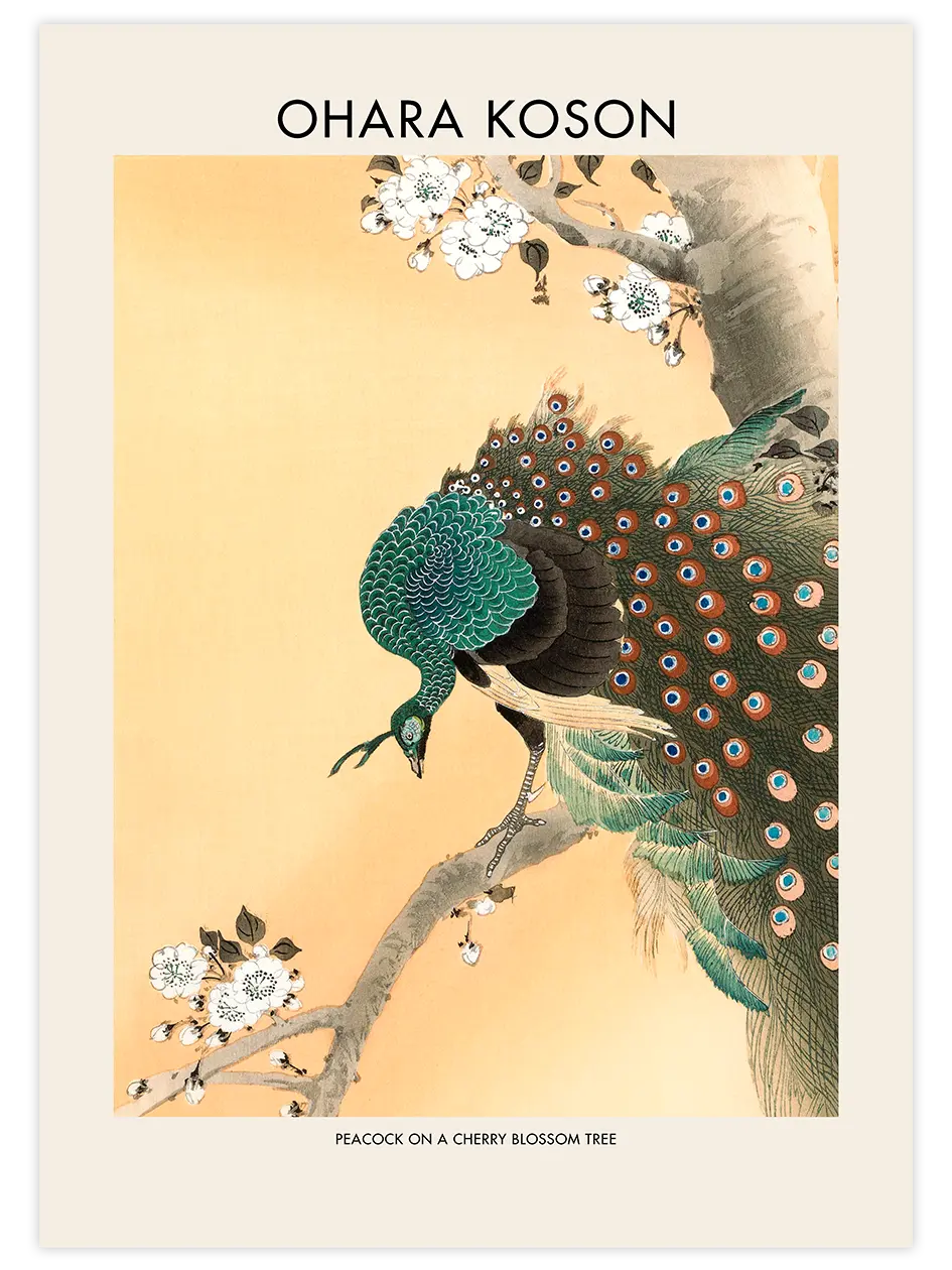 Ohara Koson Peacock On A Cherry Blossom Tree - Art Print