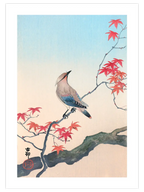 Ohara Koson N18 - Art Print