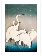 Ohara Koson N17 - Art Print