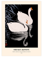 Ohara Koson White Chinese Geese - Art Print