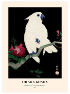 Ohara Koson Cockatoo and Pomegranate - Art Print