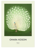 Ohara Koson Peacock - Art Print