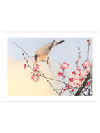 Ohara Koson N15 - Art Print