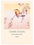 Ohara Koson Bird on Weeping Cherry - Art Print