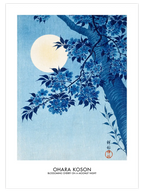Ohara Koson Blossoming Cherry - Art Print