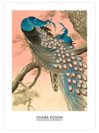 Ohara Koson Two Peacocks On Tree Branch - Art Print