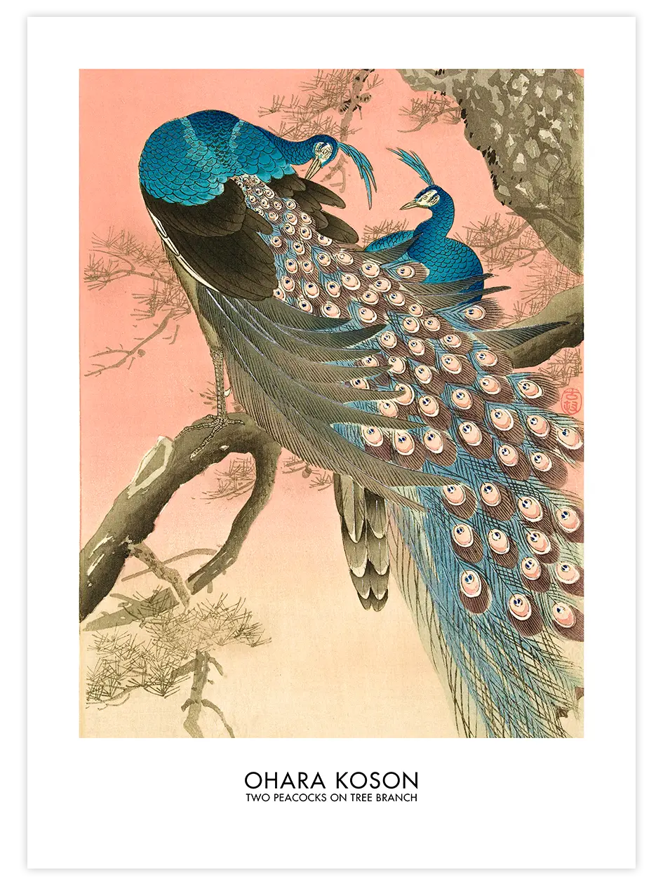 Ohara Koson Two Peacocks On Tree Branch - Art Print