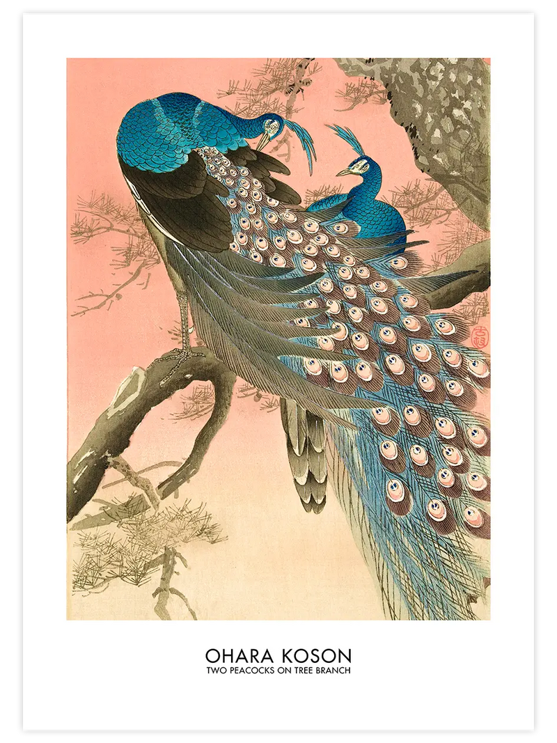 Ohara Koson Two Peacocks On Tree Branch - Art Print Ünlü Ressamlar Poster
