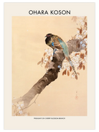 Ohara Koson Pheasant On A Cherry Blossom Branch - Art Print