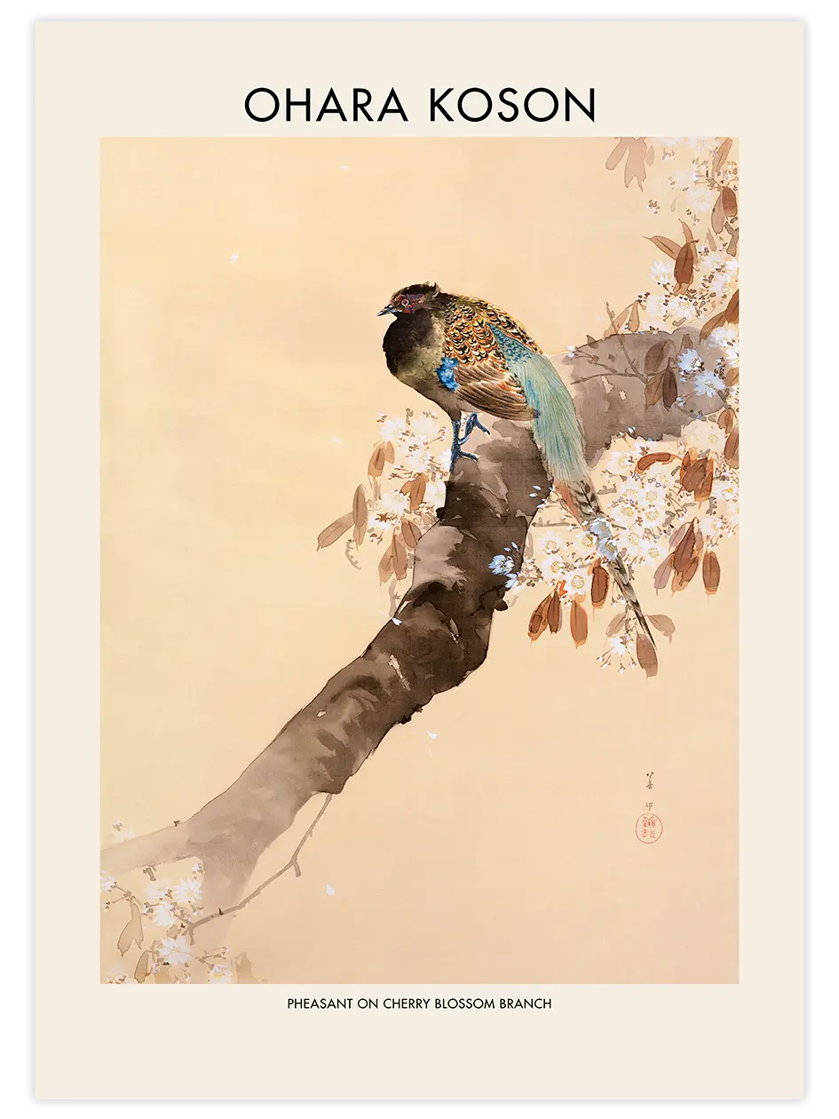 Ohara Koson Pheasant On A Cherry Blossom Branch - Art Print