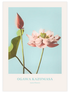 Ogawa Kazumasa Lotus Flowers - Art Print