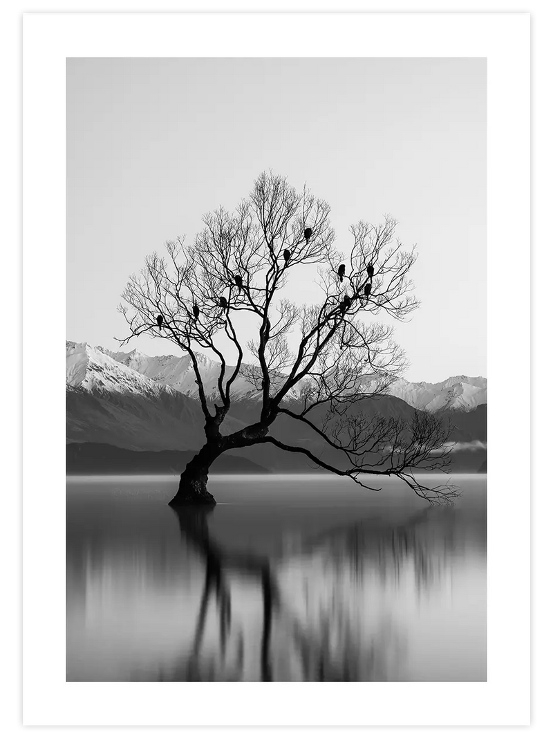Pureza - Art Print Fotoğraflar Poster