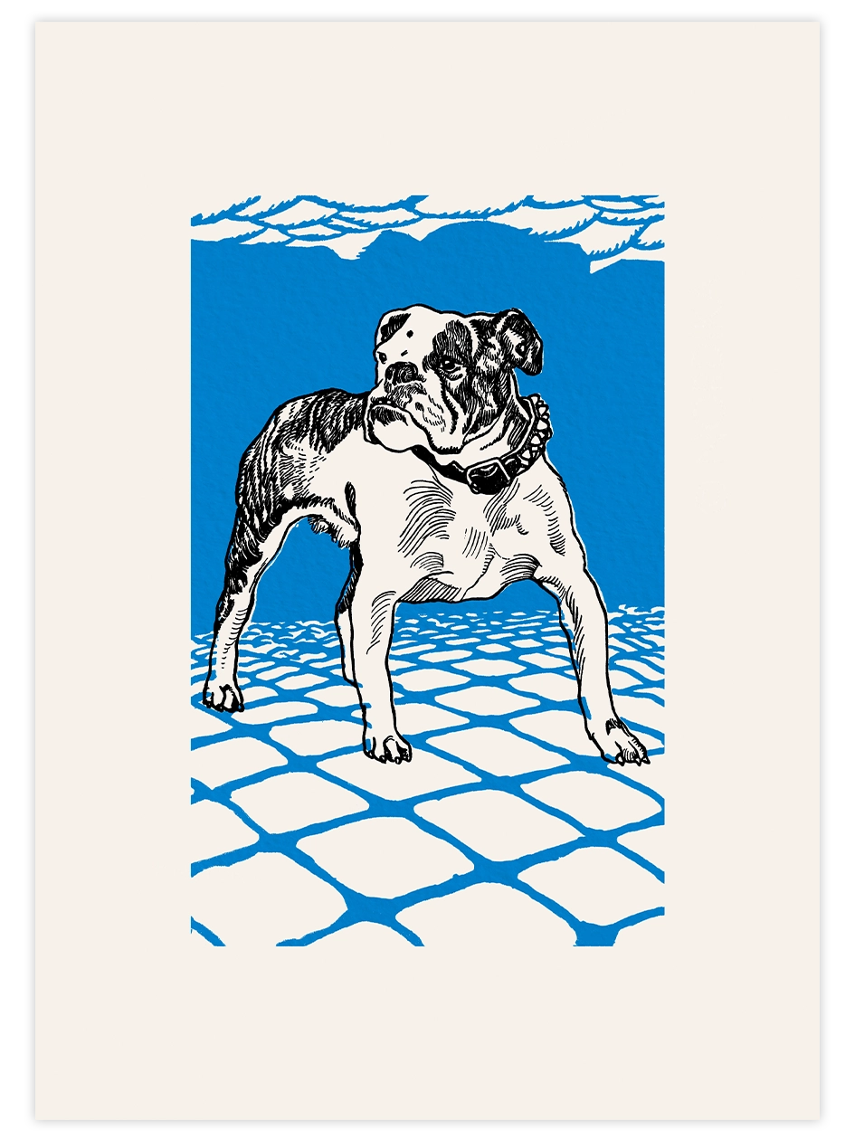 Vintage Bulldog - Art Print Ürün ana görseli