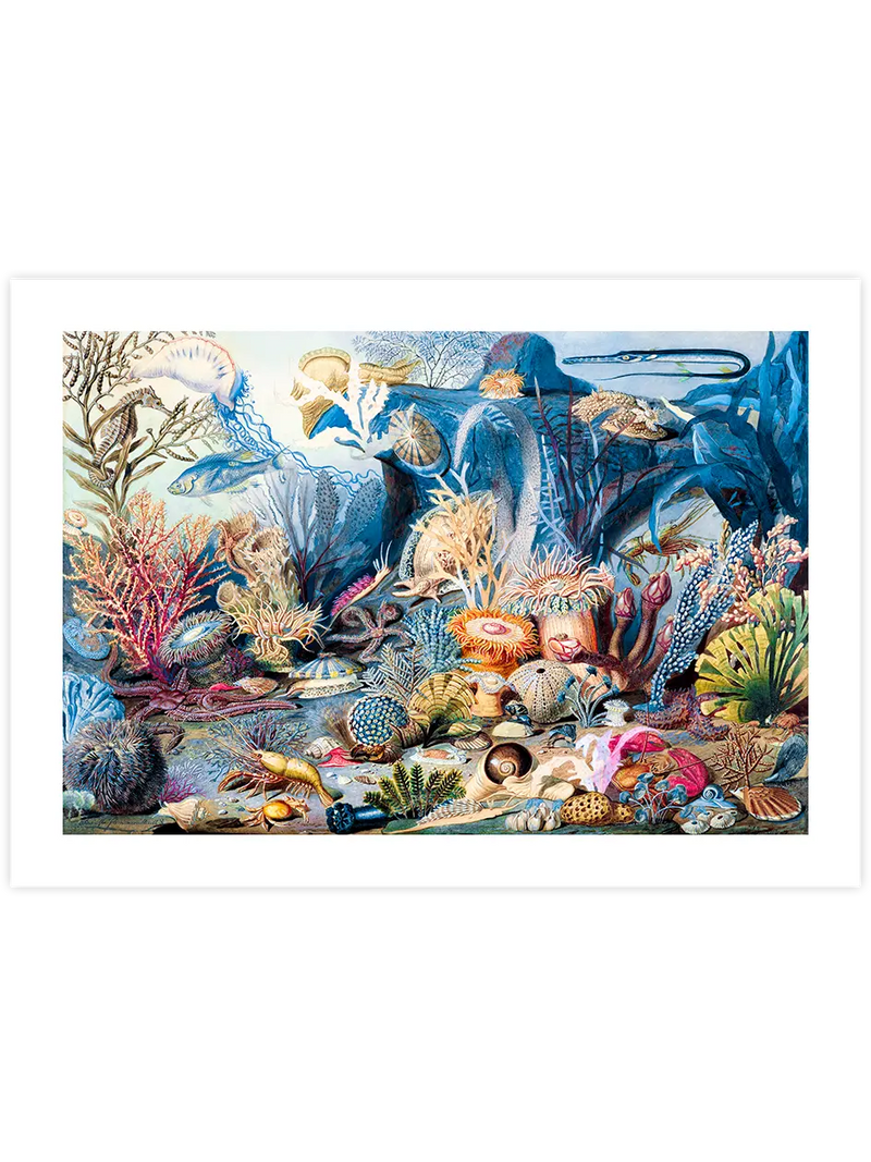 Su Altı Dünyası - Art Print Ünlü Ressamlar Poster