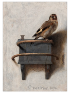 Carel Fabritius The Goldfinch - Art Print