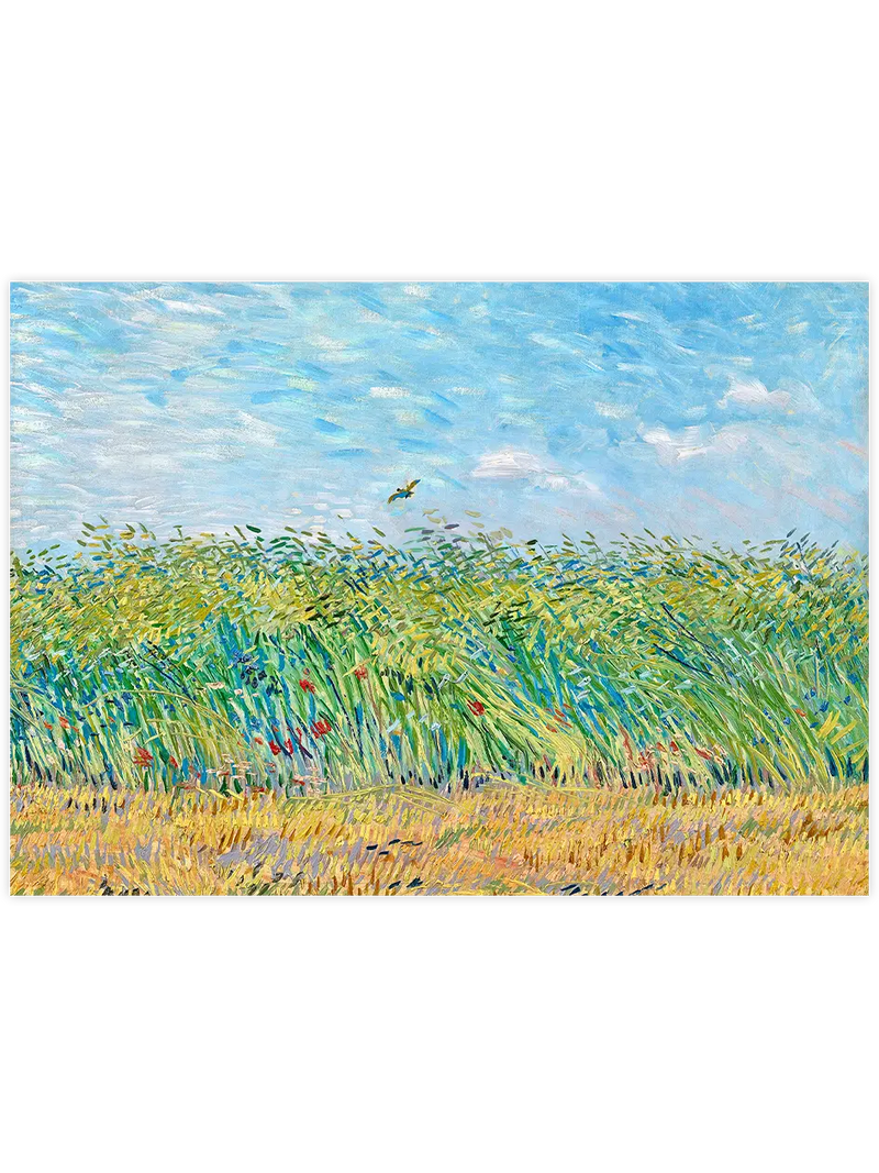 Van Gogh Wheatfield with a Lark - Art Print Ünlü Ressamlar Poster