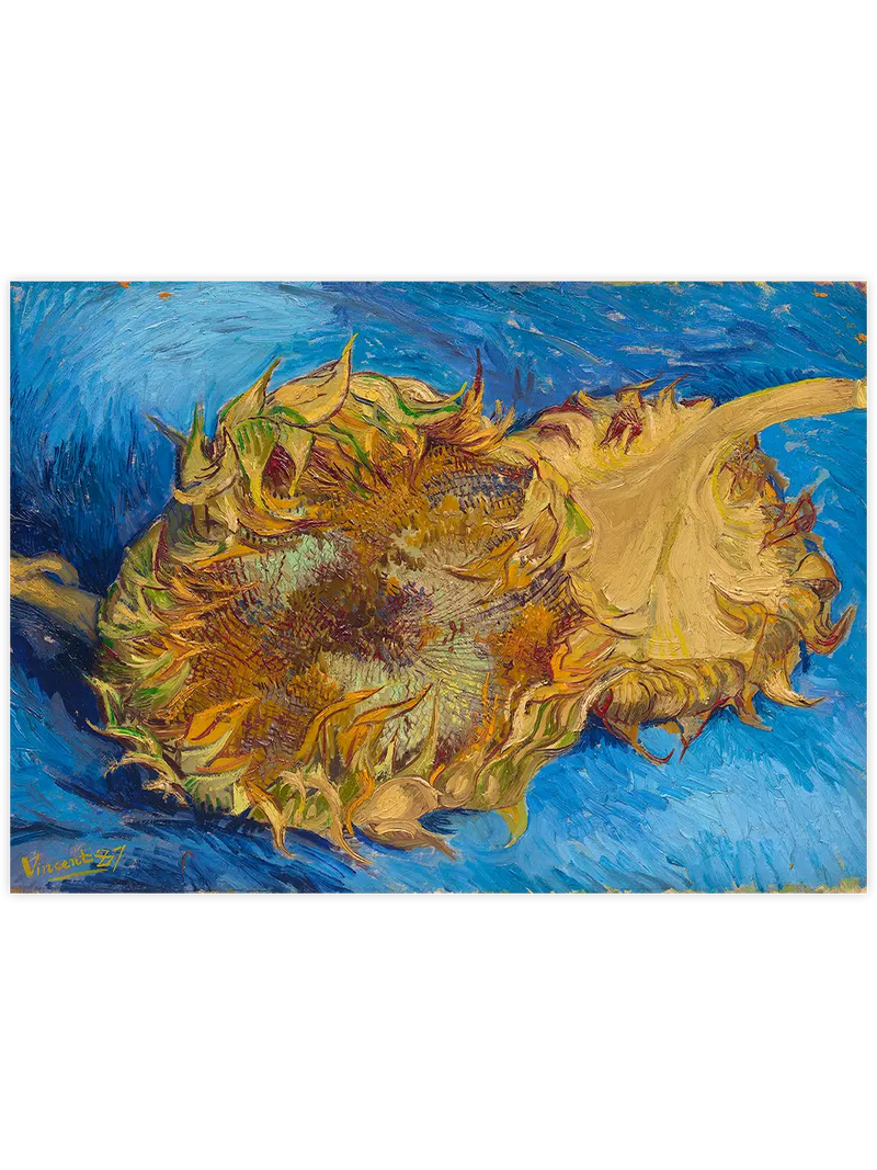 Van Gogh Two Cut Sunflowers - Art Print Ünlü Ressamlar Poster