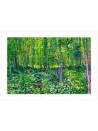 Van Gogh Trees and Undergrowth - Art Print
